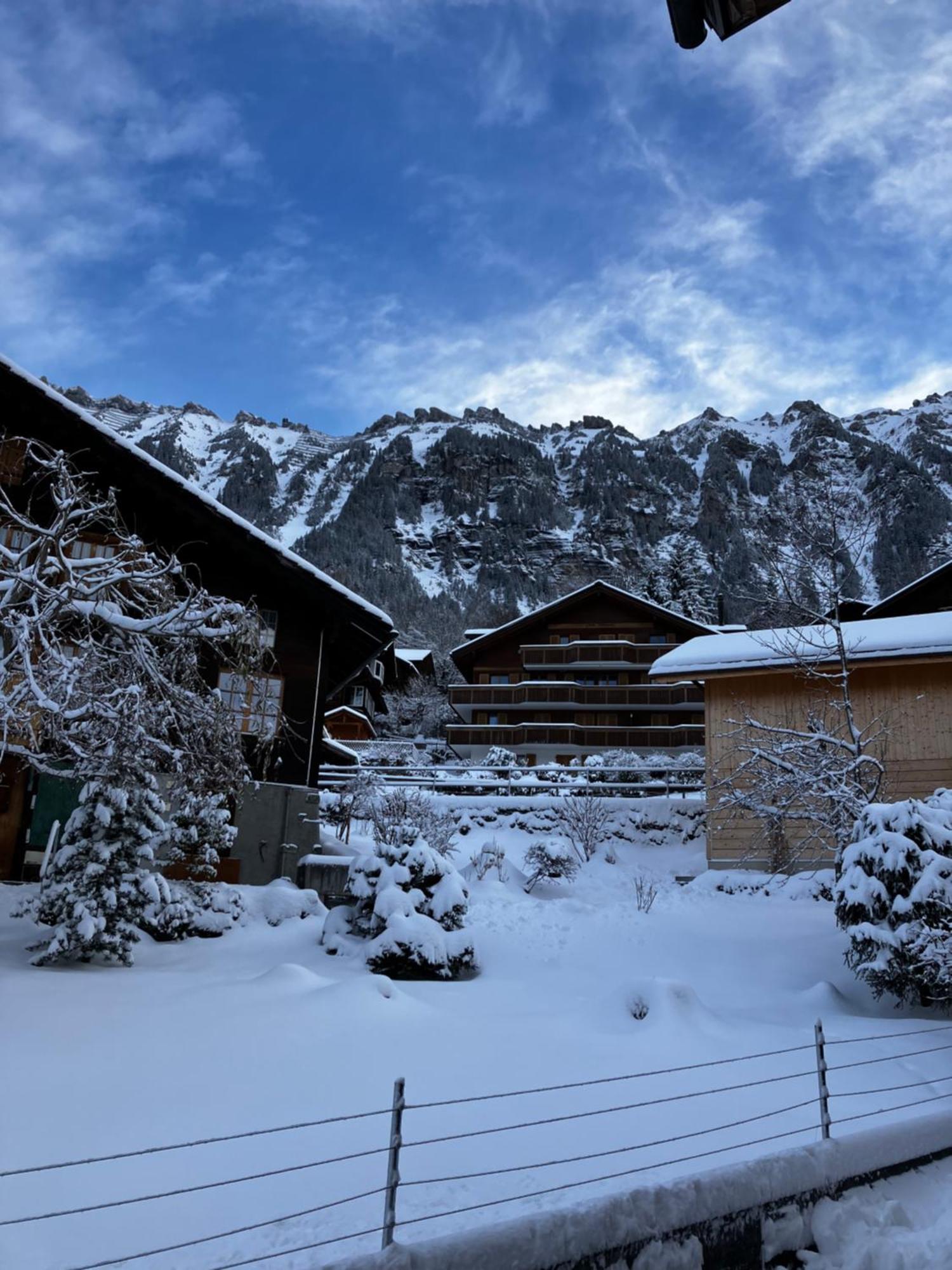 Chalet Alpina Gyger Wengen Ngoại thất bức ảnh